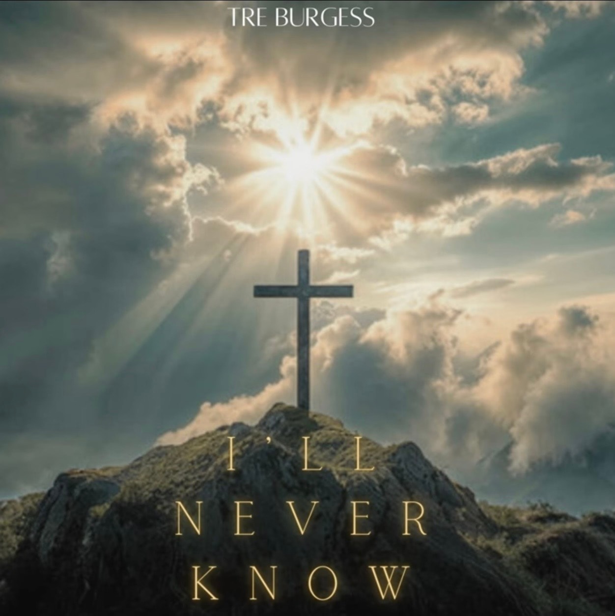 I'll Never Know cover art